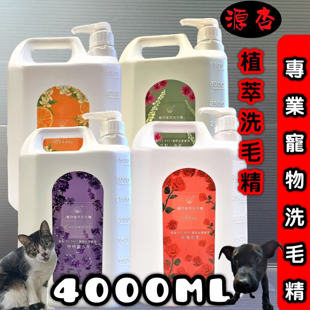 免運超大瓶✪四寶的店✪源杏 植萃洗毛精 日曬橙花 全效系列 4000ml/瓶《犬 貓 狗 專用》 寵物專用 沐浴 乳-細節圖4