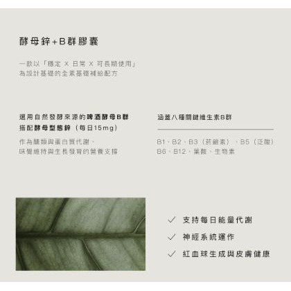 日喬恩CíAO💫酵母鋅+B群膠囊-細節圖2