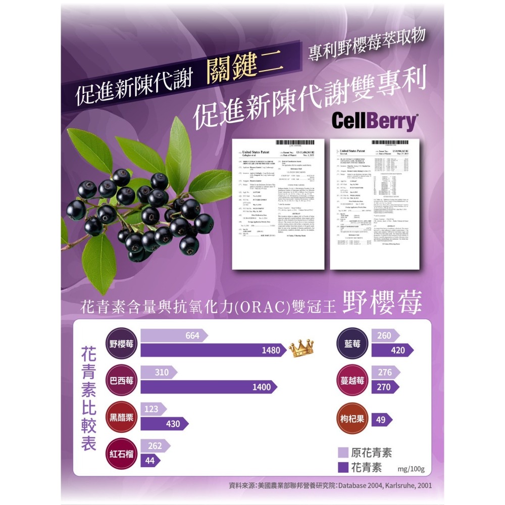 婕樂纖JERÔSSE💎雪花紫纖飲-細節圖5