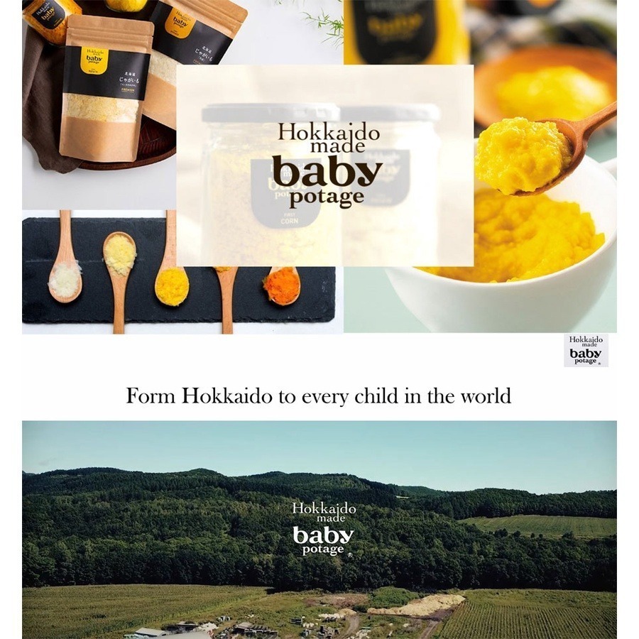 【日本 baby potage】5m+ 北海道 無添加蔬菜片 - 胡蘿蔔 40g 蔬果泥 副食品-細節圖2