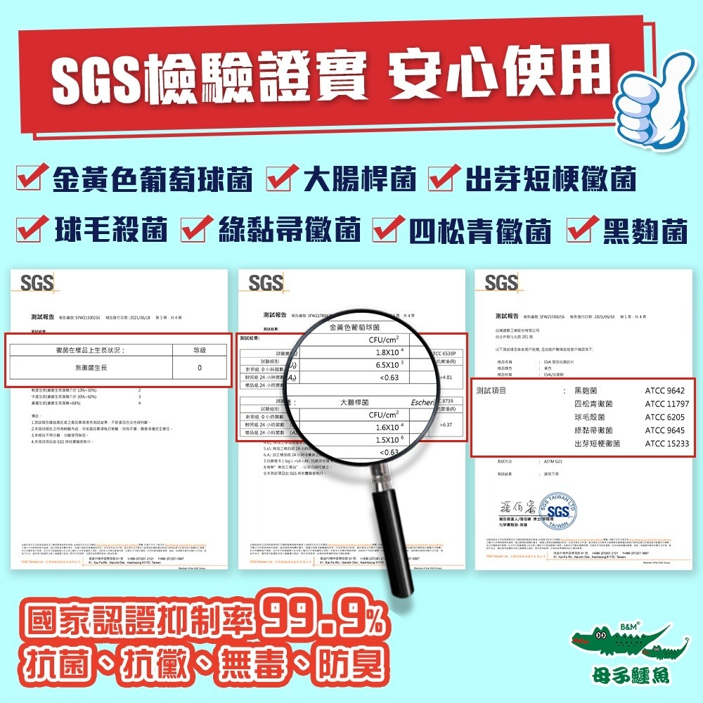 首創抗菌蚵技神速y拖(BN 520)男女鞋-母子鱷魚桃園八德旗艦店-細節圖8