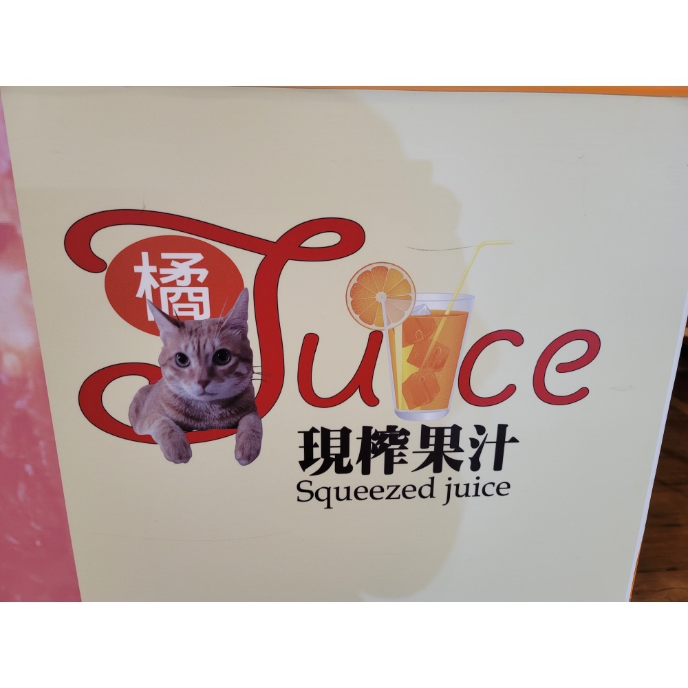 ＜橘貓果汁＞新鮮鮮榨100％葡萄柚原汁（超商店到店取貨有重量限制10公斤約11瓶）-細節圖3