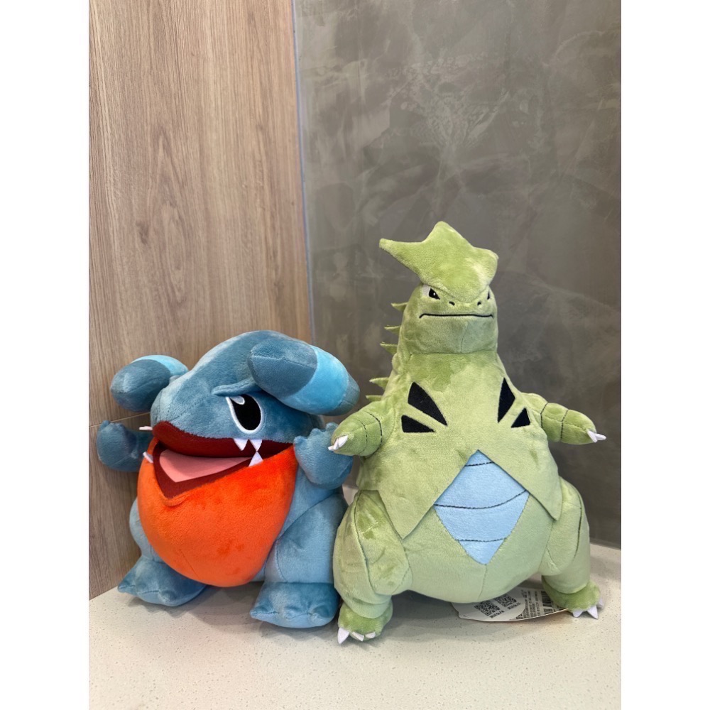 《正版》寶可夢娃娃 圓陸鯊果然翁班基拉斯皮丘呆呆獸固拉多蓋歐卡 鳳王拉帝亞斯 拉帝歐斯 夢幻噴火龍神奇寶貝玩偶樂玩多-細節圖8