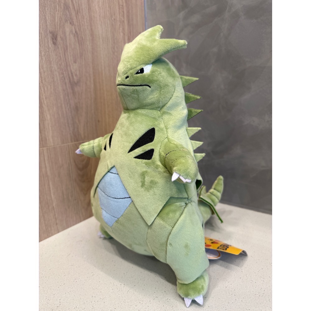 《正版》寶可夢娃娃 圓陸鯊果然翁班基拉斯皮丘呆呆獸固拉多蓋歐卡 鳳王拉帝亞斯 拉帝歐斯 夢幻噴火龍神奇寶貝玩偶樂玩多-規格圖8