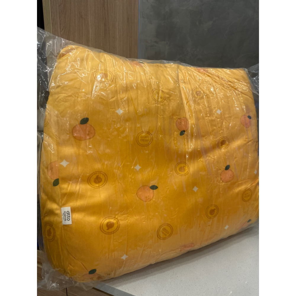 dtto friends 18吋 腰靠枕 Hoya腰靠枕 Hoya 腰靠枕辦公枕減壓枕 大型抱枕-細節圖2