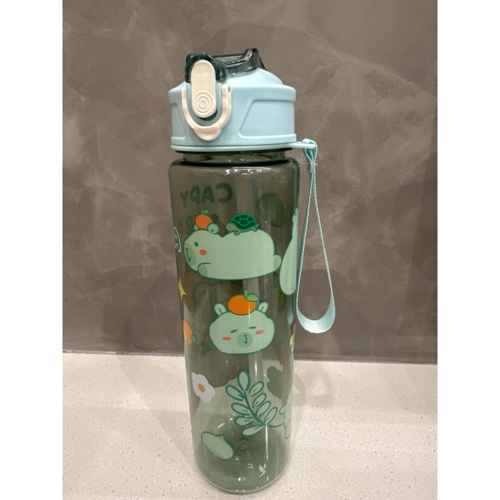卡皮巴拉水壺 水豚君透明冷飲杯 水豚兒童水杯 可愛卡通杯水瓶 800ML 兒童水瓶 水壺-規格圖5