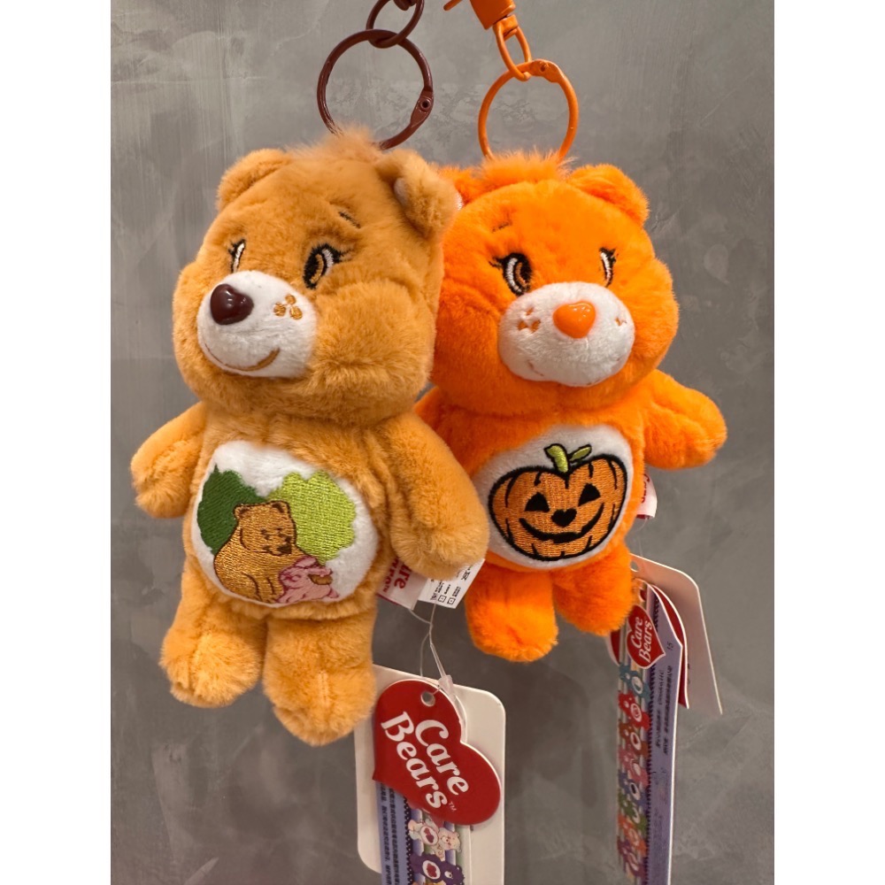 《雷標正版》Care Bears 彩虹熊娃娃 15公分鑰匙圈吊飾愛心小熊娃娃 彩虹熊 吊飾 鑰匙圈吊飾 娃娃 台灣現貨全-細節圖3