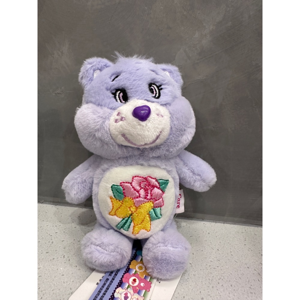 《雷標正版》Care Bears 彩虹熊娃娃 15公分鑰匙圈吊飾愛心小熊娃娃 彩虹熊 吊飾 鑰匙圈吊飾 娃娃 台灣現貨全-細節圖11