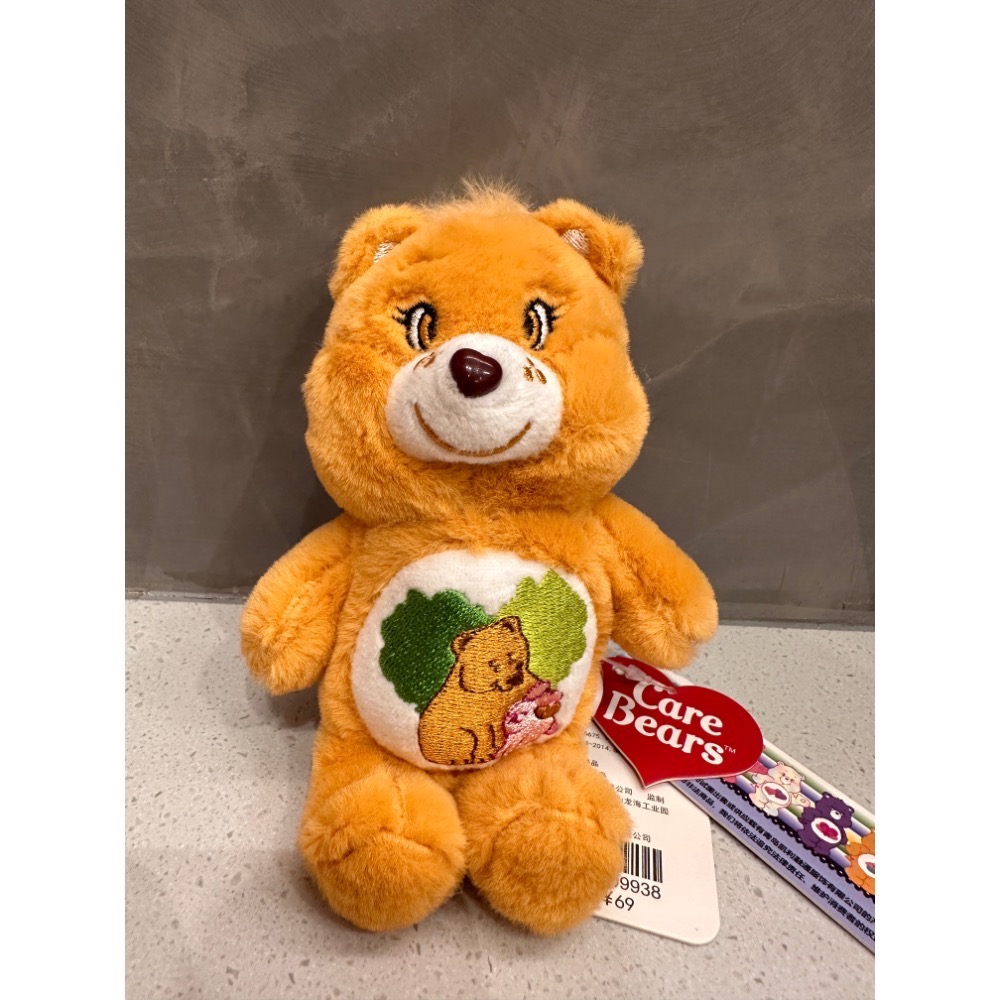 《雷標正版》Care Bears 彩虹熊娃娃 15公分鑰匙圈吊飾愛心小熊娃娃 彩虹熊 吊飾 鑰匙圈吊飾 娃娃 台灣現貨全-規格圖11