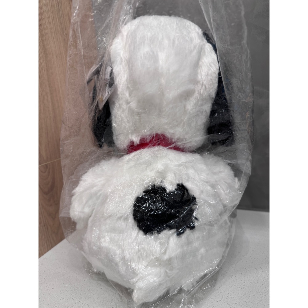 《正版》史努比SNOOPY 坐姿史努比40公分 可愛Q萌絨毛娃娃 抱枕公仔療癒 禮物 全新現貨-細節圖5