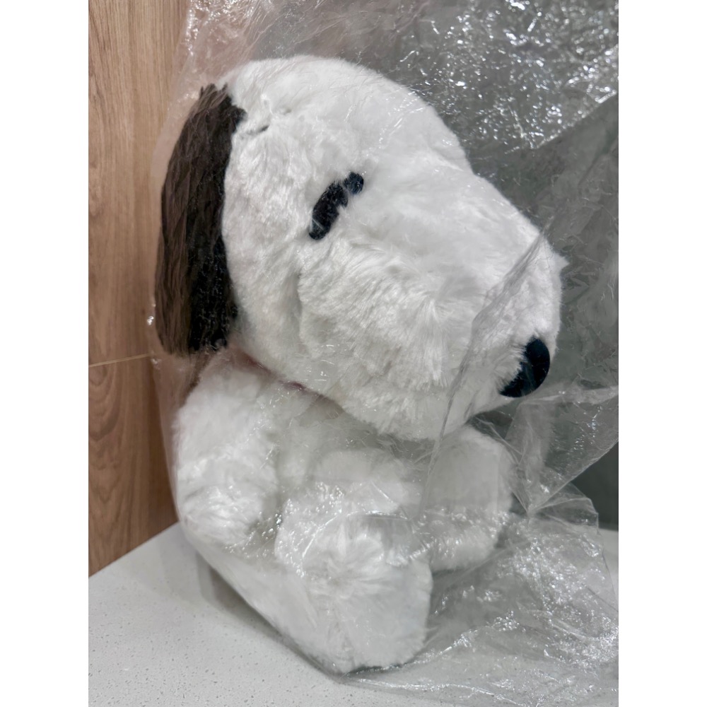 《正版》史努比SNOOPY 坐姿史努比40公分 可愛Q萌絨毛娃娃 抱枕公仔療癒 禮物 全新現貨-規格圖5