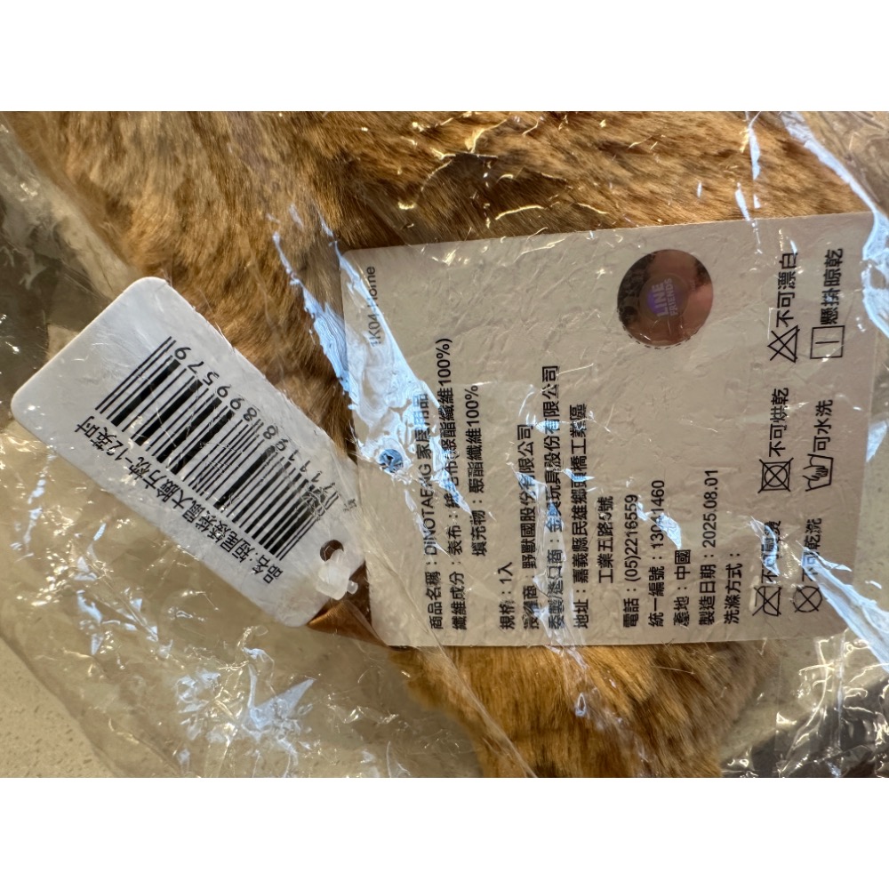 《正版》DINO TAENG 呆萌町 12吋 短尾矮袋鼠 大臉方枕 抱枕  QUOKKA BOBO-細節圖3