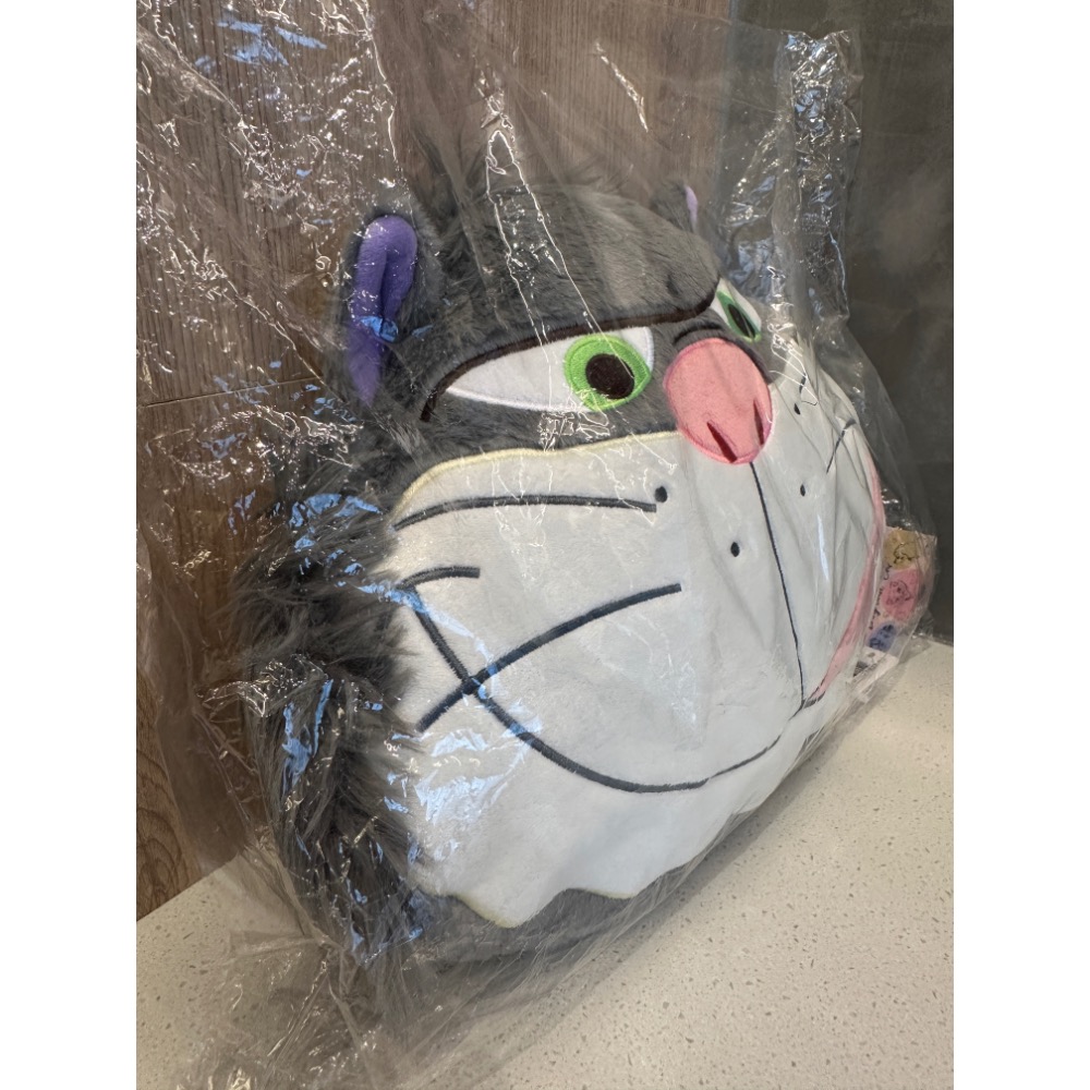 《正版》迪士尼 頭型玩偶 魯斯佛 抱枕 靠枕 12英吋-細節圖2