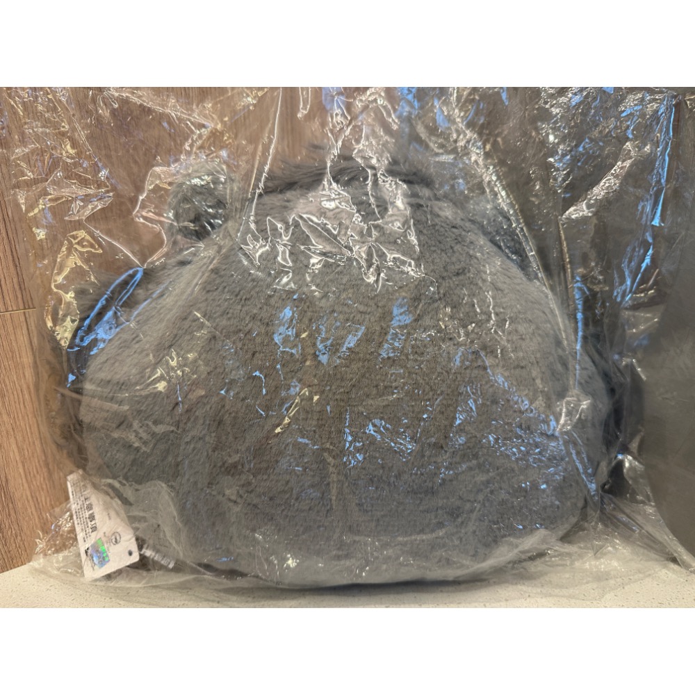 《正版》迪士尼 頭型玩偶 魯斯佛 抱枕 靠枕 12英吋-細節圖3