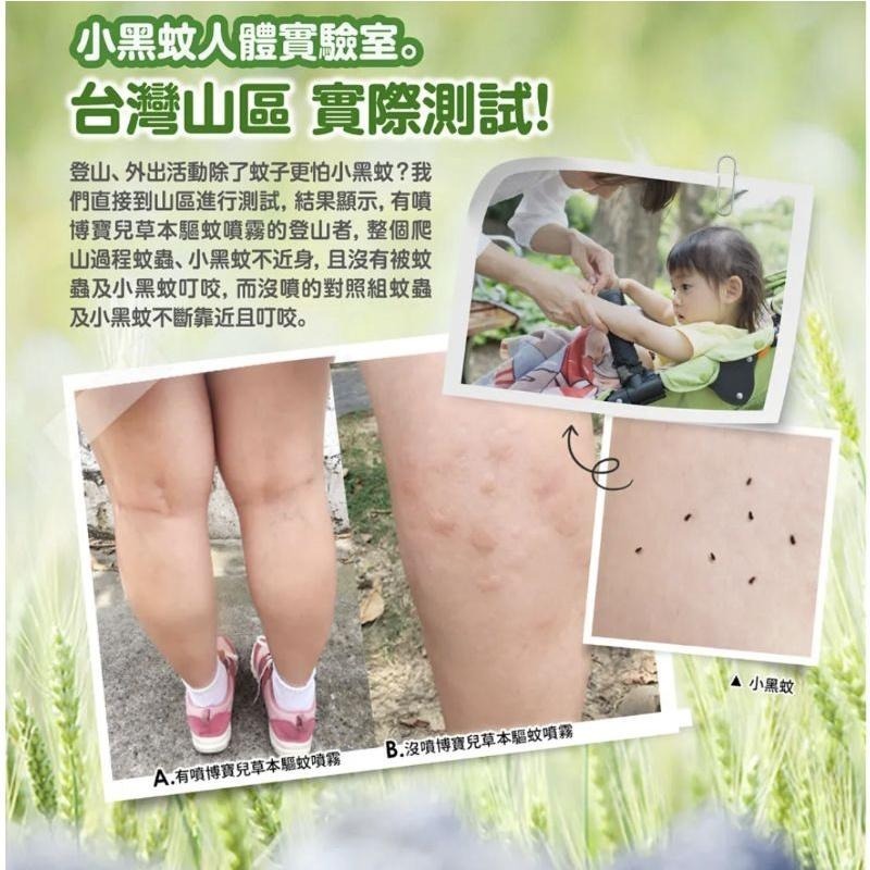 Siapa✈🇹🇼 台灣㊣博寶兒Probo 佩佩豬草本驅蚊噴霧100ml/草本驅蚊貼片18入 防紋噴霧/防蚊貼片-細節圖3