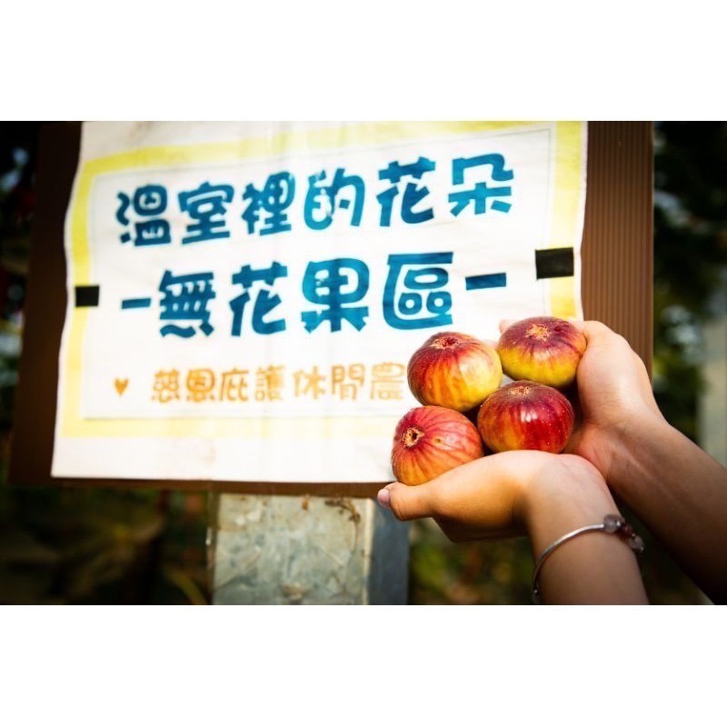 產季微果量免運中❣️有機無花果鮮果產地直送👩‍🌾通過381項農藥零檢出✔️SGS檢驗有機栽培✔️溫室種植-細節圖6