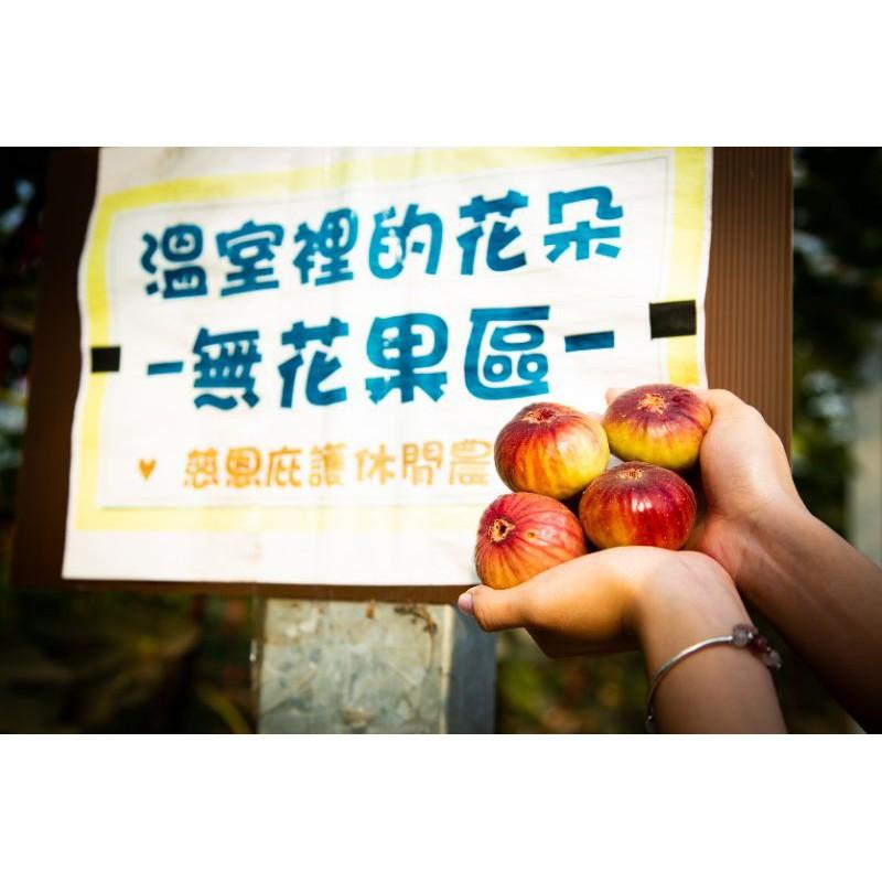 產季微果量免運❣️有機無花果產地直送👩‍🌾通過381項農藥零檢出✔️SGS檢驗有機栽培✔️溫室種植-細節圖6