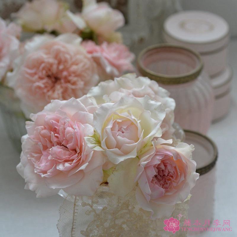 【河本系列】鉤針編織 7-8吋盆 日本玫瑰 茶香和沒藥混合香味-細節圖4