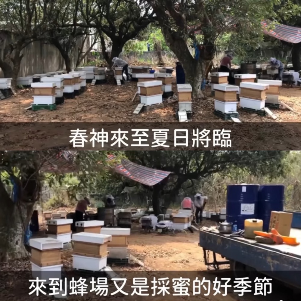 得獎國產蜂蜜🇹🇼天藝特等獎蜂蜜🏆 700ml 100%純蜜🍯台灣在地蜂農直送🐝 榮獲114年特等獎🎖-細節圖7