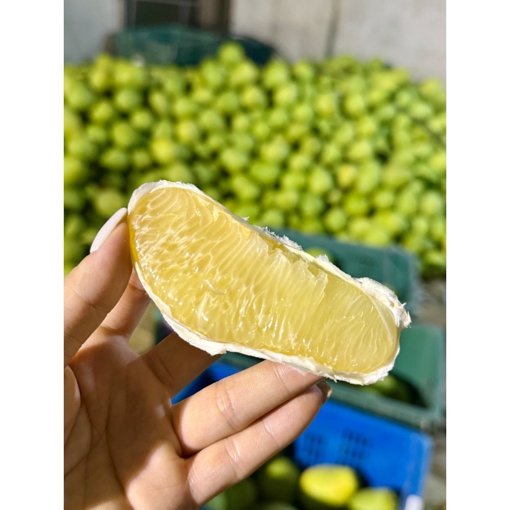 【免運產季中！】台東老欉文旦柚子🍐產地直送🧑‍🌾頂級送禮級🏆中元普渡 中秋送禮 果農直配 中秋禮盒  送禮首選-細節圖2