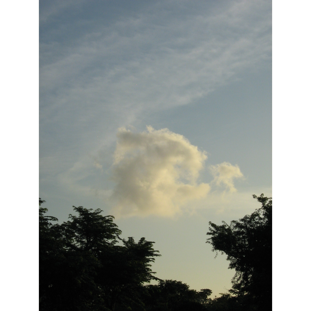 [鉄琢]Canon PowerShot A430-細節圖10