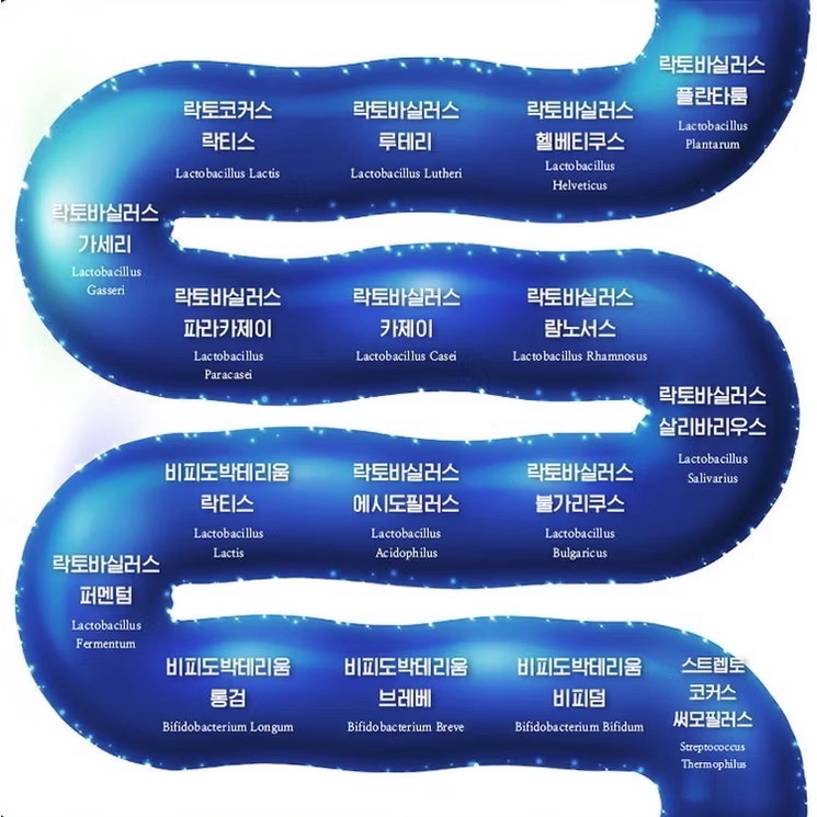 🔥BIAN BIAN🔥韓國原裝 Perfect Biotics 超級益生菌 19 / 30包 / 無盒-細節圖4