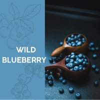 冷凍 誠麗野生藍莓 1kg