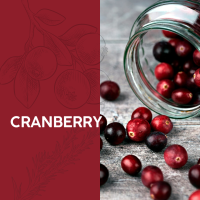 冷凍 加拿大蔓越莓 1kg