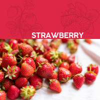 冷凍 埃及草莓 1kg