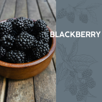 冷凍 智利黑莓 1kg