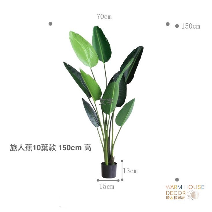 【台灣現貨】Warm House 北歐旅人蕉 仿真植物擺飾 室內植物擺件 ins風植物擺飾 裝飾 仿真植物 旅人蕉 盆栽-細節圖9