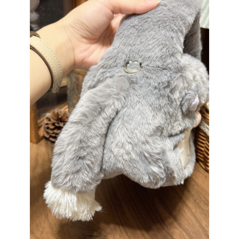 現貨 日本 迪士尼商店 Disney Store 魯斯佛 壞貓 絨毛 柔軟 手提包 斜背包-細節圖2