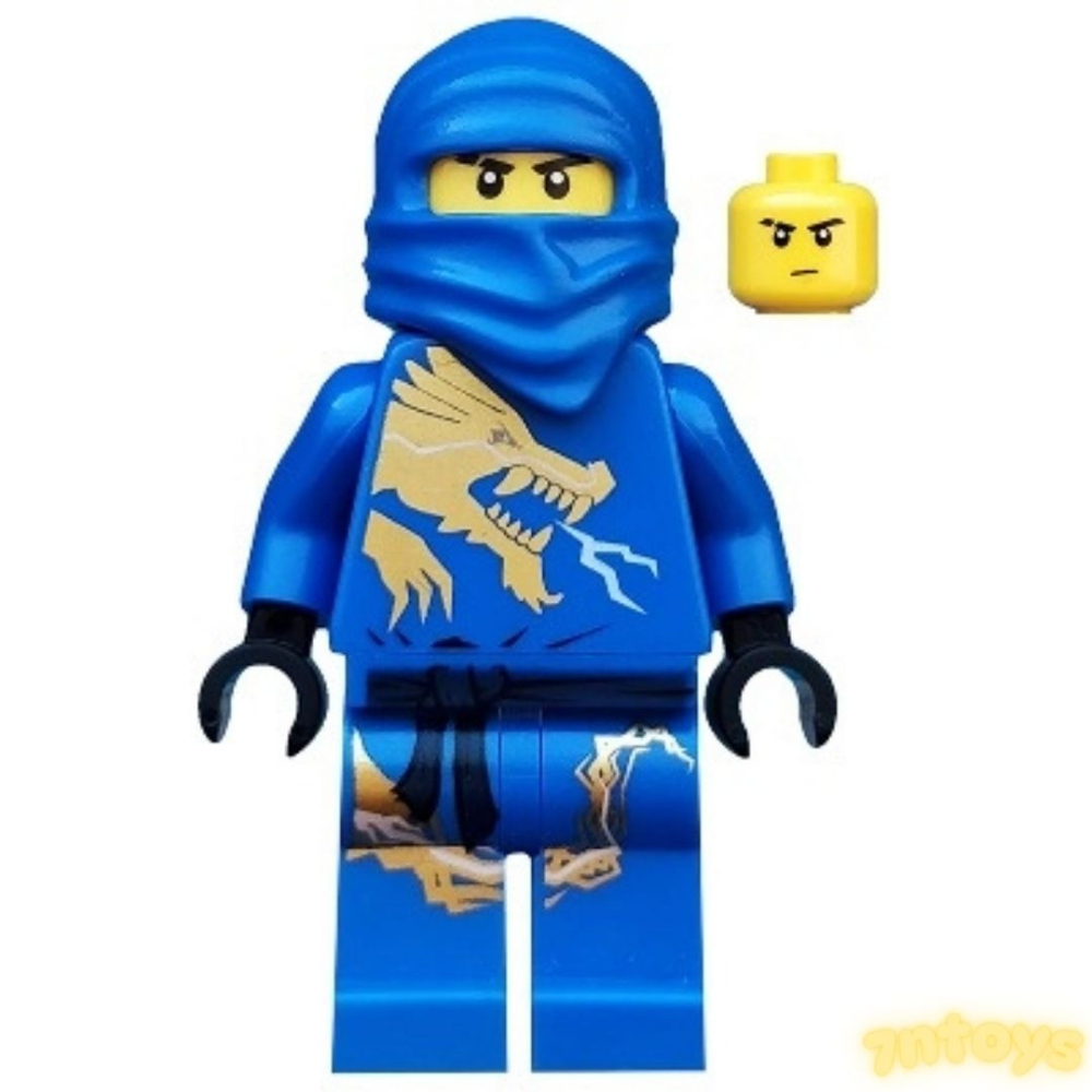 LEGO 樂高 旋風忍者 龍袍 2521 2519 2170 2507 2254 四隻合售 絕版 DX 忍者系列-細節圖3