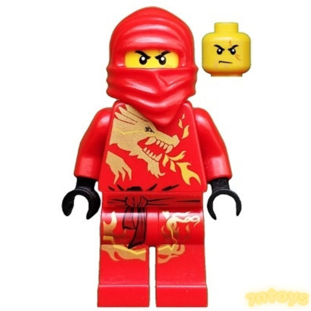 LEGO 樂高 旋風忍者 龍袍 2521 2519 2170 2507 2254 四隻合售 絕版 DX 忍者系列-細節圖4
