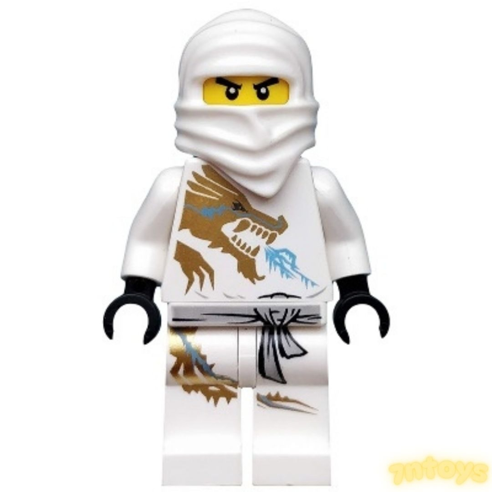 LEGO 樂高 旋風忍者 龍袍 2521 2519 2170 2507 2254 四隻合售 絕版 DX 忍者系列-細節圖6