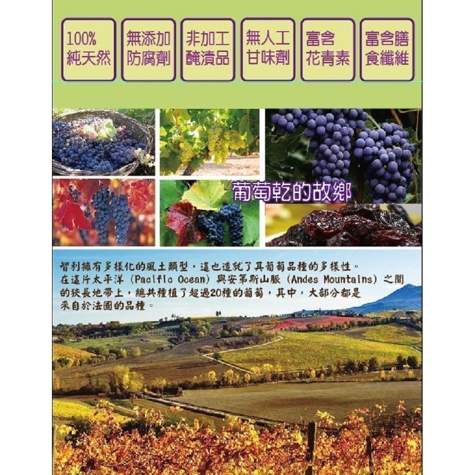 【花語開發】全台最低批發價 智利 特大葡萄乾500g(無糖、無添加)原裝進口 團購熱銷No1 無籽/有籽 任選-細節圖3