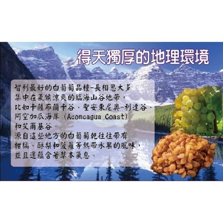【花語開發】全台最低批發價 智利 特大葡萄乾500g(無糖、無添加)原裝進口 團購熱銷No1 無籽/有籽 任選-細節圖4