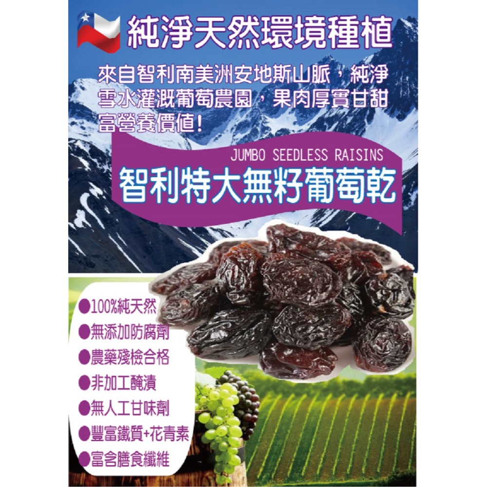 團購批發專區 【無糖無添加特大葡萄乾】4.5Kg 無籽 特大有籽 花語葡萄乾 烘培原料葡萄乾 零食果乾批發-規格圖8