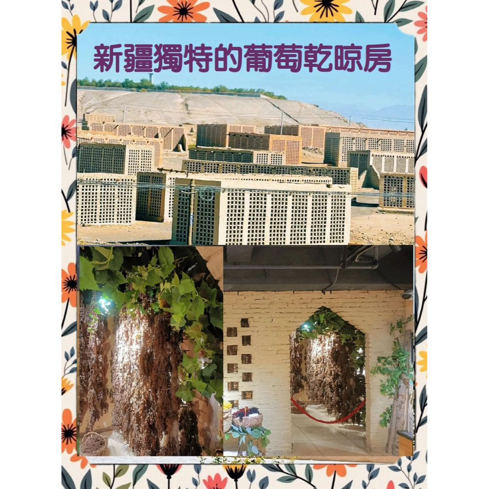 花語團購批發 新疆吐魯番【無籽帶梗黑加侖葡萄乾300g】無添加 無油 無糖 滿五送一 全素食 果實香甜濃郁 天然美味-細節圖6
