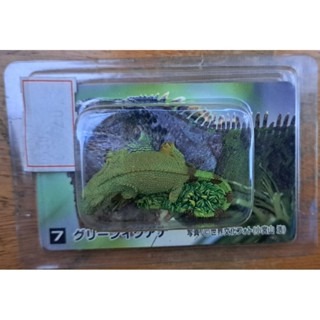 模型  大神秘亞馬遜 7.綠色Iguana 已上色自然 手辦 收藏卡-細節圖3