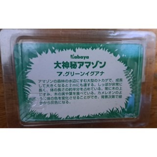 模型  大神秘亞馬遜 7.綠色Iguana 已上色自然 手辦 收藏卡-細節圖4