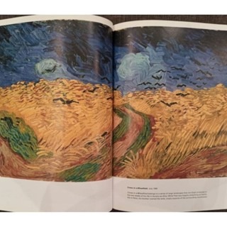 藝術  世界美術家  梵谷  Vincent Van Gogh-細節圖4