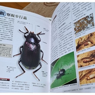 自然  昆蟲入門、昆蟲圖鑑（一盒二書）-細節圖5
