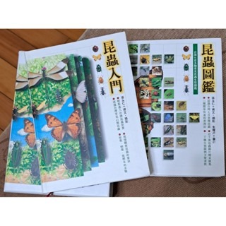 自然  昆蟲入門、昆蟲圖鑑（一盒二書）-規格圖5