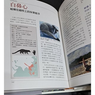 自然    台灣哺乳動物-細節圖4