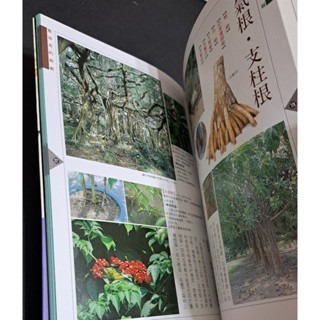 自然    台灣賞樹情報-細節圖6