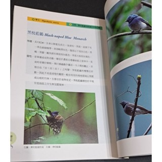 自然    發現台灣野鳥-細節圖2