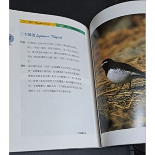 自然    發現台灣野鳥-細節圖3