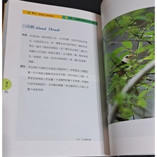 自然    發現台灣野鳥-細節圖4