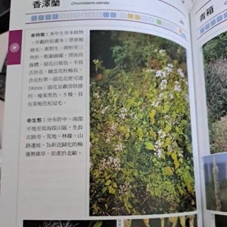 自然   野花圖鑑 遠流出版-細節圖2